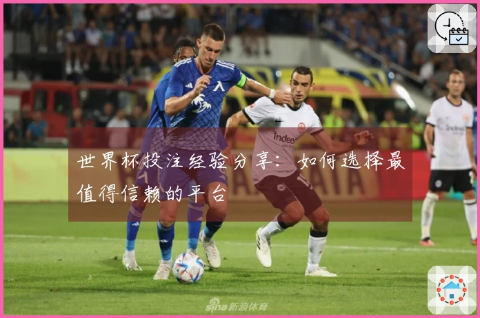世界杯投注经验分享：如何选择最值得信赖的平台