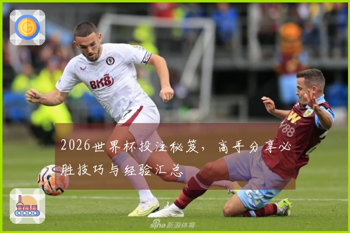 2026世界杯投注秘笈，高手分享必胜技巧与经验汇总