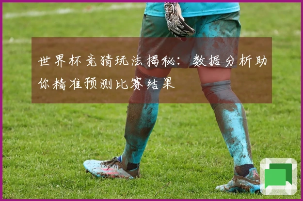 世界杯竞猜玩法揭秘：数据分析助你精准预测比赛结果