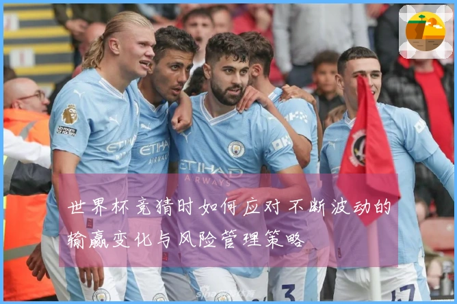 世界杯竞猜时如何应对不断波动的输赢变化与风险管理策略