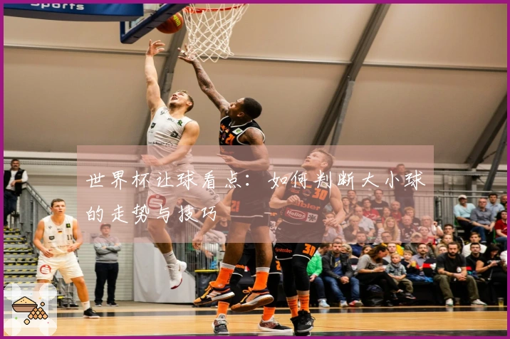 世界杯让球看点：如何判断大小球的走势与技巧