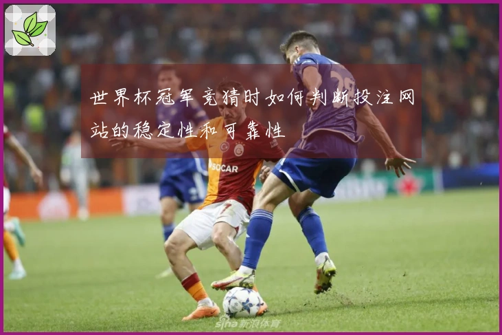 世界杯冠军竞猜时如何判断投注网站的稳定性和可靠性