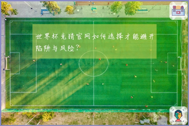 世界杯竞猜官网如何选择才能避开陷阱与风险？