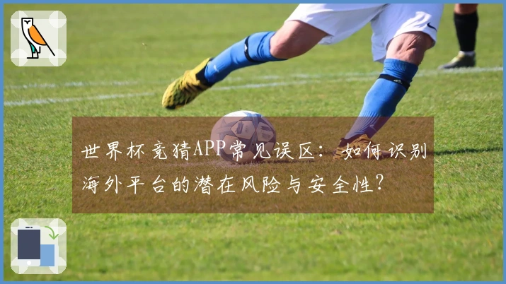 世界杯竞猜APP常见误区：如何识别海外平台的潜在风险与安全性？