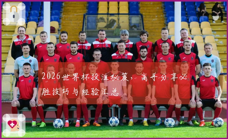 2026世界杯投注秘笈，高手分享必胜技巧与经验汇总
