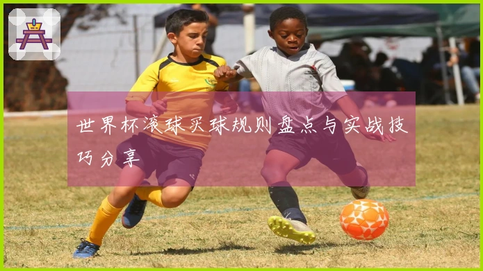 世界杯滚球买球规则盘点与实战技巧分享