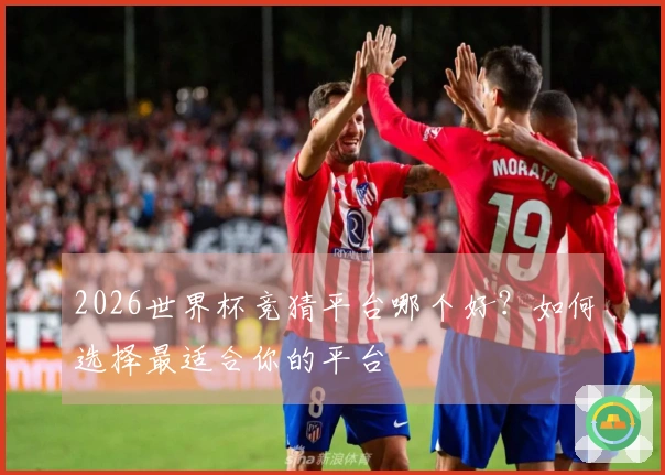 2026世界杯竞猜平台哪个好？如何选择最适合你的平台