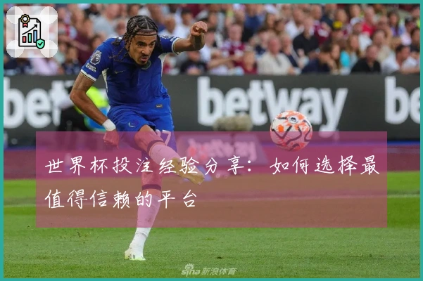 世界杯投注经验分享：如何选择最值得信赖的平台