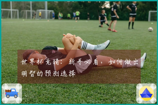 世界杯竞猜：新手必看，如何做出明智的预测选择