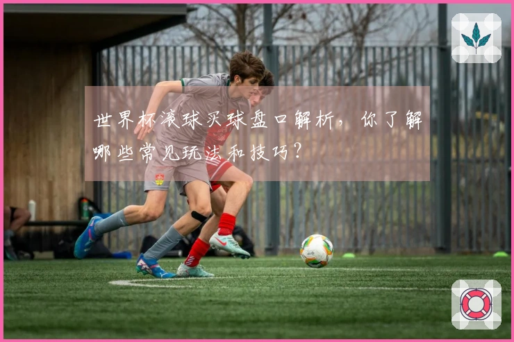 世界杯滚球买球盘口解析，你了解哪些常见玩法和技巧？