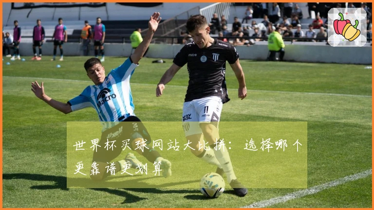 世界杯买球网站大比拼：选择哪个更靠谱更划算