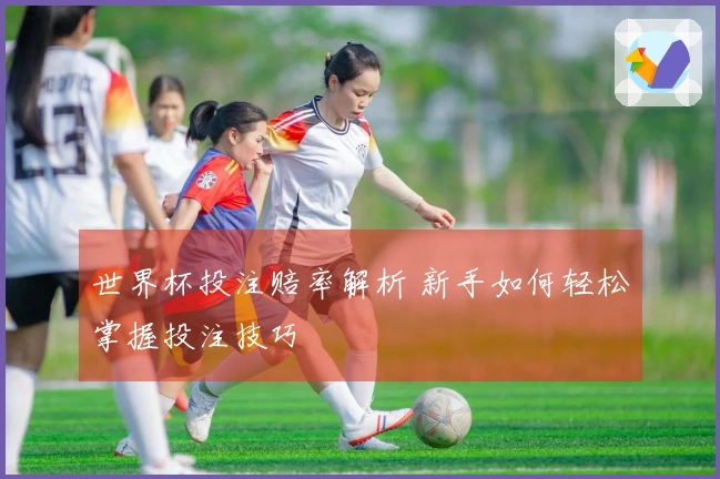 世界杯投注赔率解析 新手如何轻松掌握投注技巧