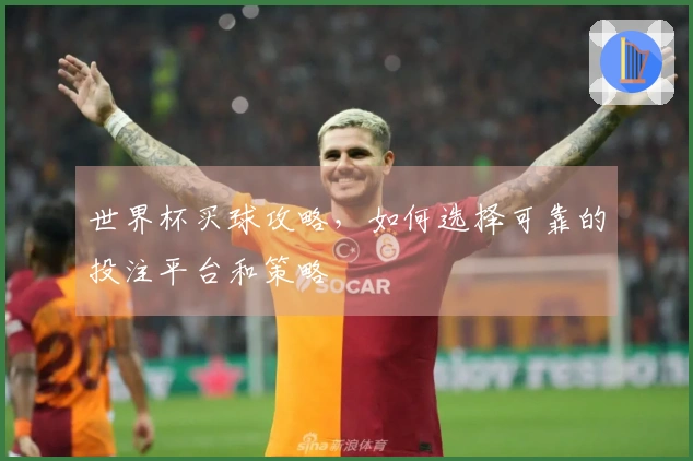 世界杯买球攻略，如何选择可靠的投注平台和策略