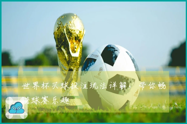 世界杯买球投注玩法详解，带你畅游球赛乐趣