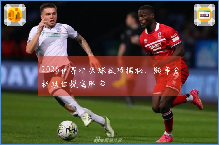 2026世界杯买球技巧揭秘，赔率分析助你提高胜率
