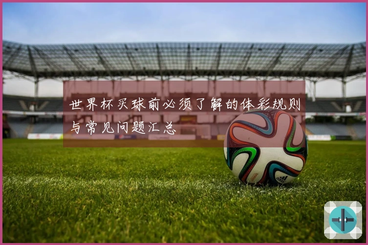世界杯买球前必须了解的体彩规则与常见问题汇总