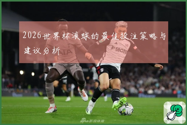 2026世界杯滚球的最佳投注策略与建议分析