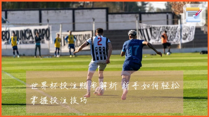 世界杯投注赔率解析 新手如何轻松掌握投注技巧